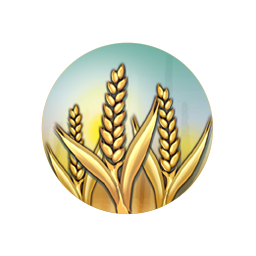 Wheat
